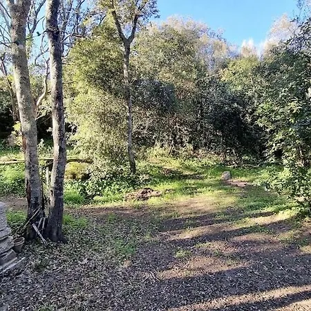 Casa 'llu Pilota - Grand Dans Plein Sud Vue - Large In A South-facing With Sea View