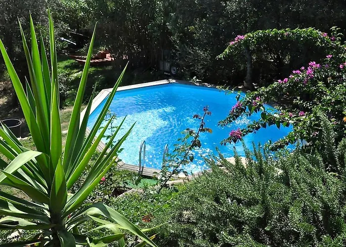 Appartement Casa 'llu Pilota - Grand Dans Plein Sud Vue - Large In A South-facing With Sea View